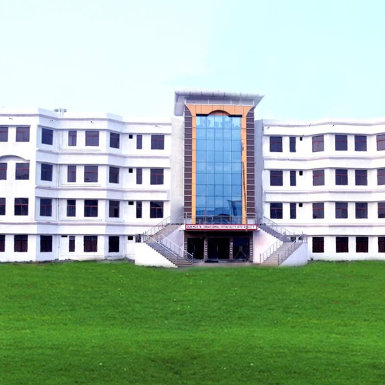 International public School